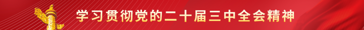 学习贯彻党的二十届三中全会精神