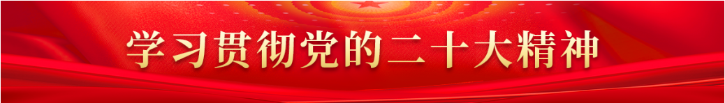 学习贯彻党的二十大精神