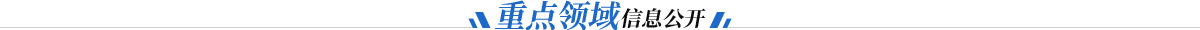 重点领域信息公开