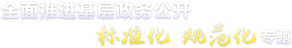 全面推荐基层政务公开标准化规范化专题